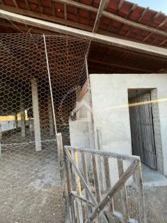 Chácara à venda com 23 tarefas (69.000M²) entre Porto da folha e Lagoa da volta