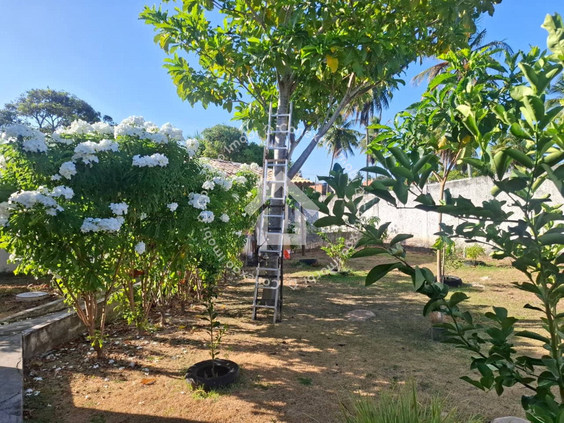 Chácara à venda no Bairro Mosqueiro em Aracaju | 4 Quartos, sendo 2 Suítes
