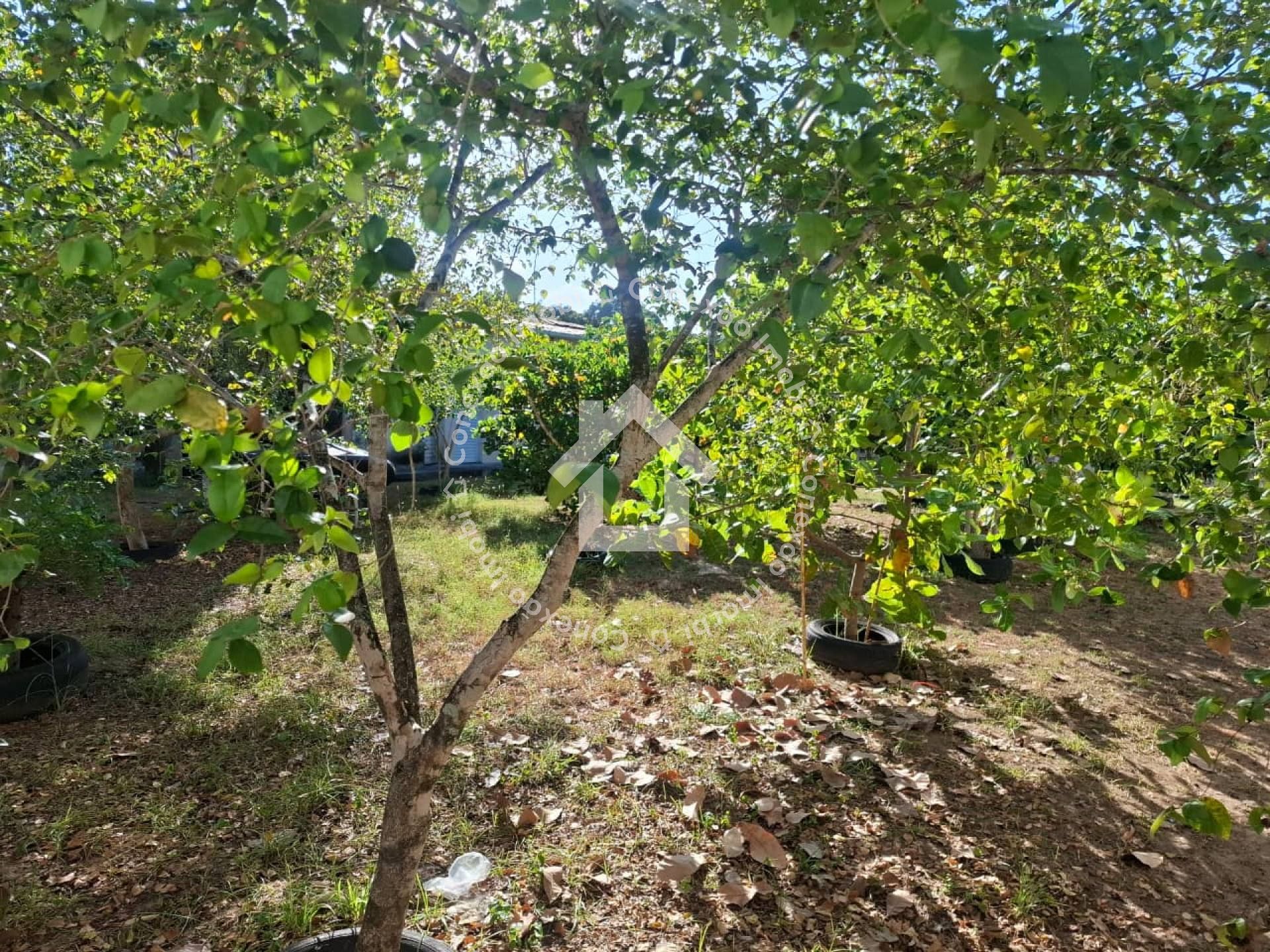 Chácara à venda no Bairro Mosqueiro em Aracaju | 4 Quartos, sendo 2 Suítes