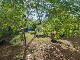 Chácara à venda no Mosqueiro | 4 Quartos, sendo 2 Suítes