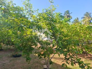 Chácara à venda no Mosqueiro | 4 Quartos, sendo 2 Suítes