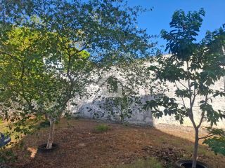 Chácara à venda no Mosqueiro | 4 Quartos, sendo 2 Suítes