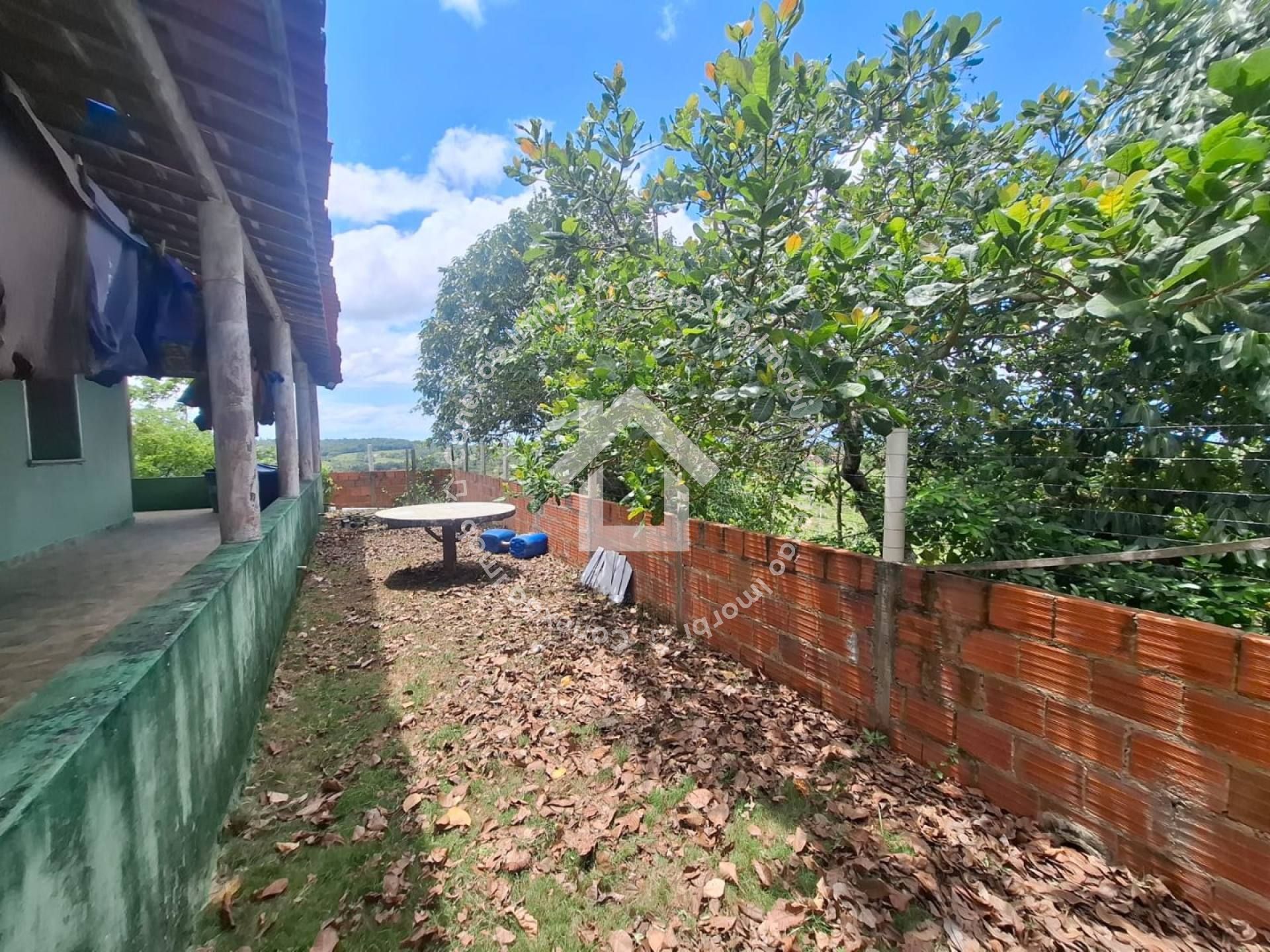 Sítio à Venda em Itaporanga/SE com Casa 3/4 | Ideal para Quem Busca Tranquilidade e Natureza!