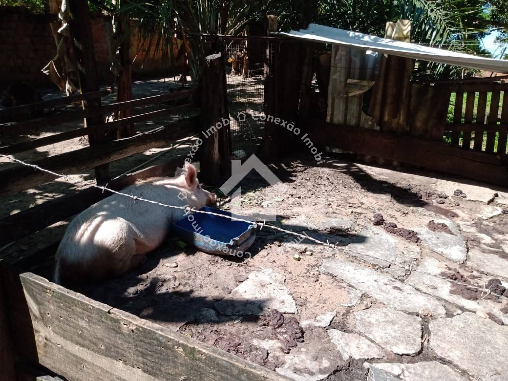 Sítio à venda no Bairro Jabotiana com 12.000 m² | Excelente para investimento e loteamento em Aracaju