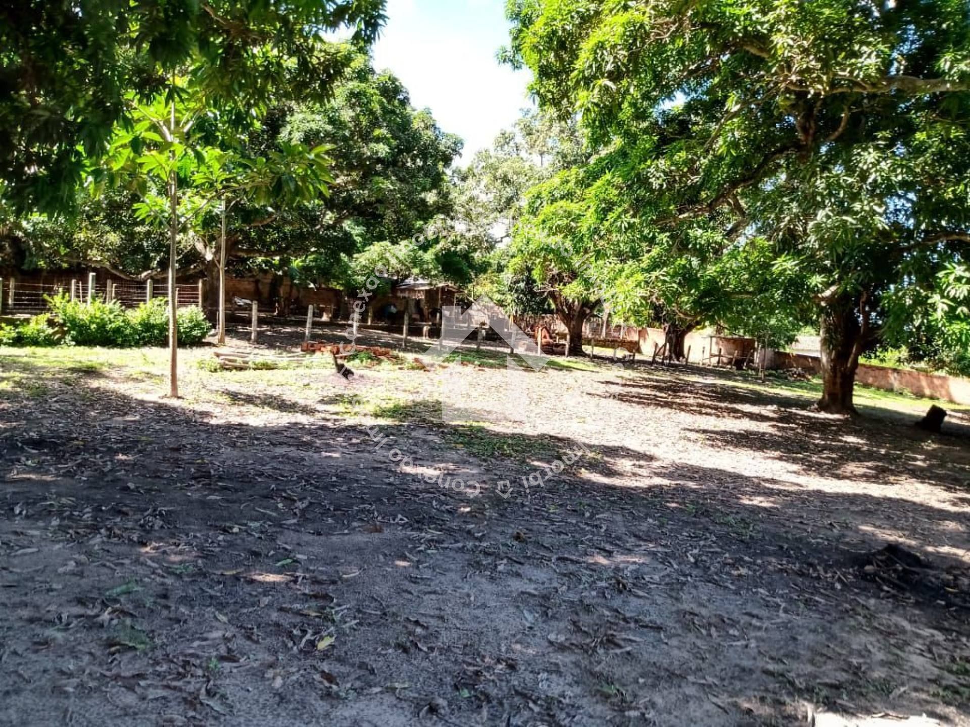 Sítio à venda no Bairro Jabotiana com 12.000 m² | Excelente para investimento e loteamento em Aracaju