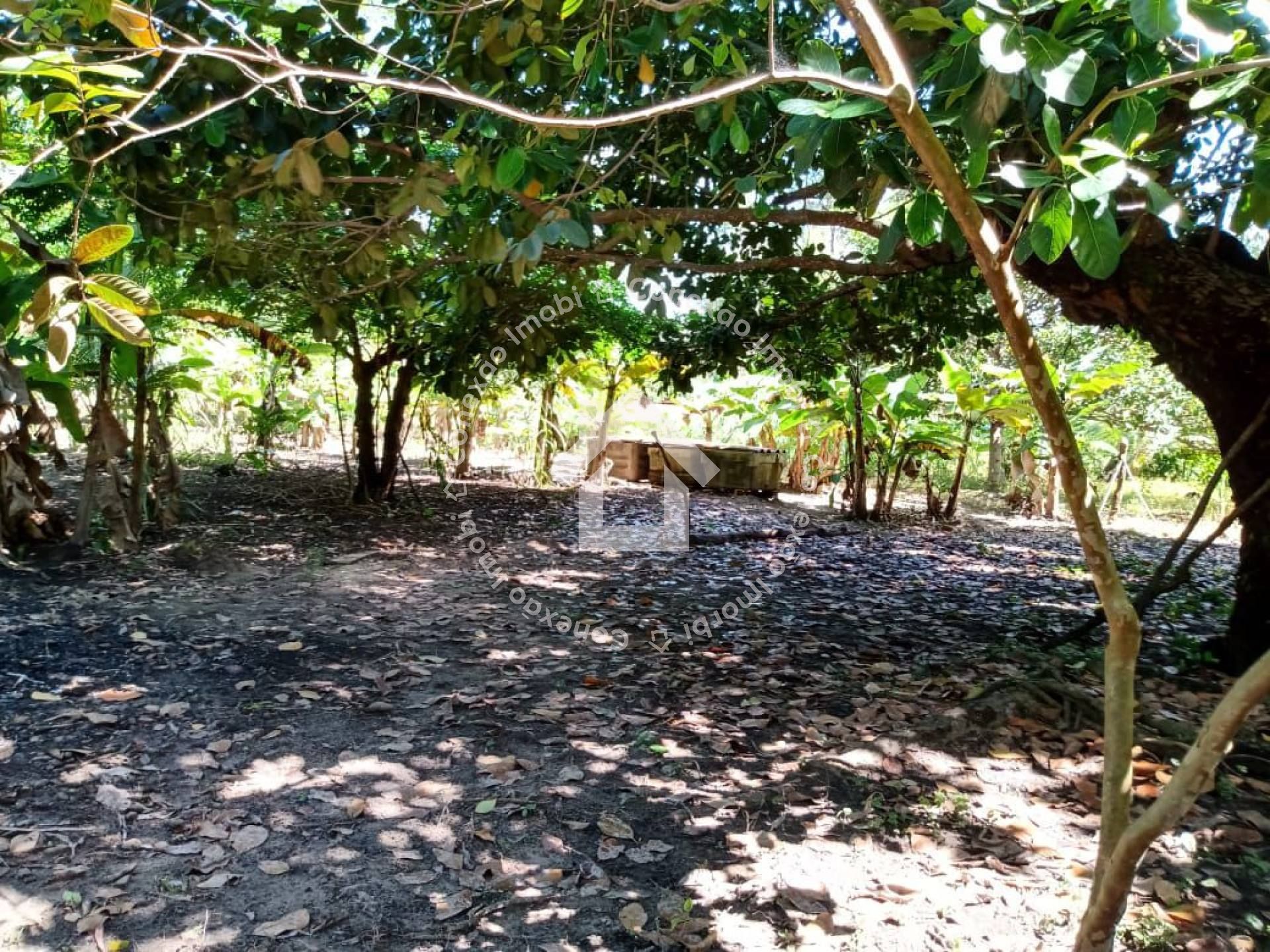 Sítio à venda no Bairro Jabotiana com 12.000 m² | Excelente para investimento e loteamento em Aracaju