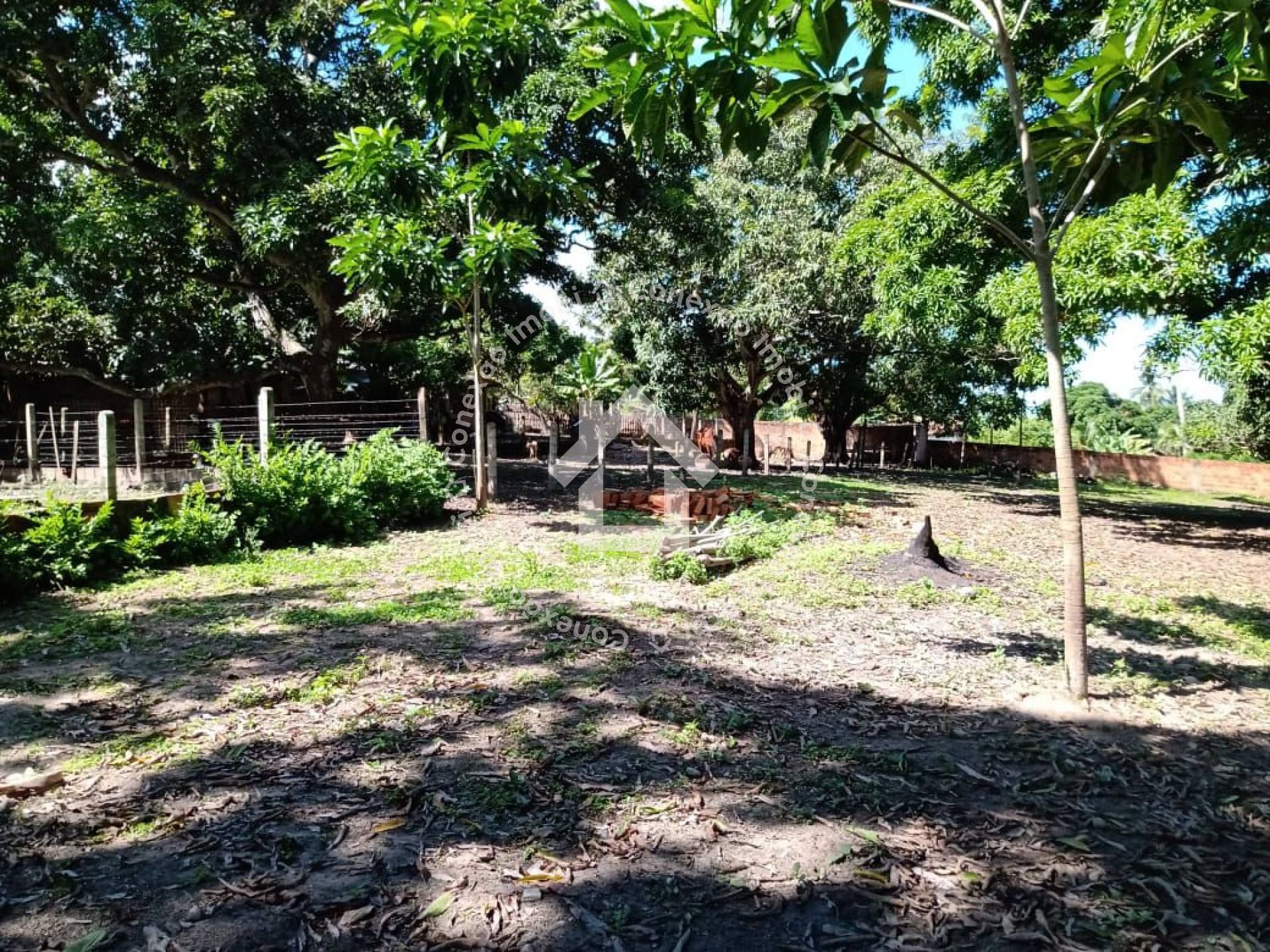 Sítio à venda no Bairro Jabotiana com 12.000 m² | Excelente para investimento e loteamento em Aracaju