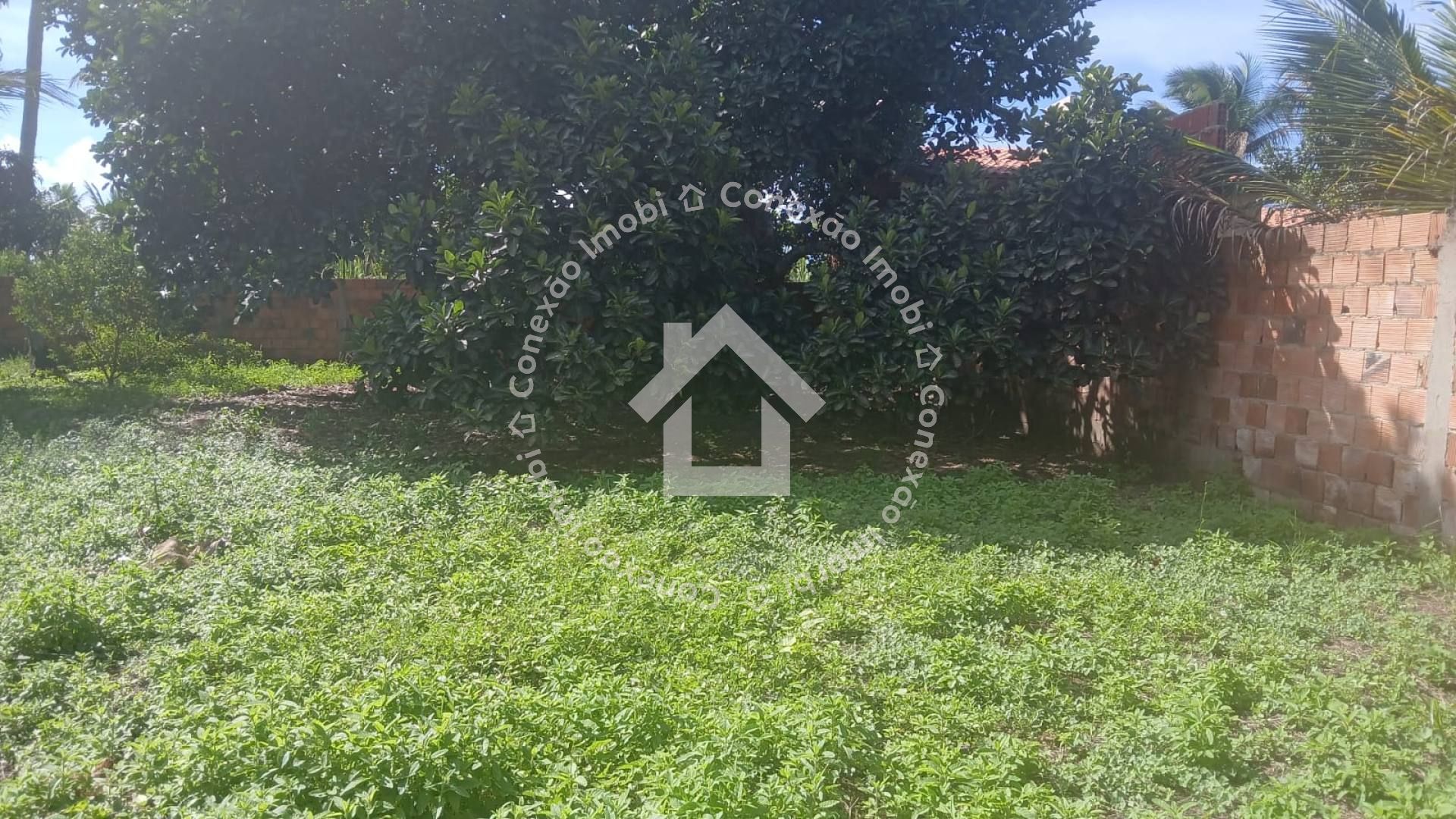 Terreno Amplo 12x55 Povoado São Bento no Município de Salgado