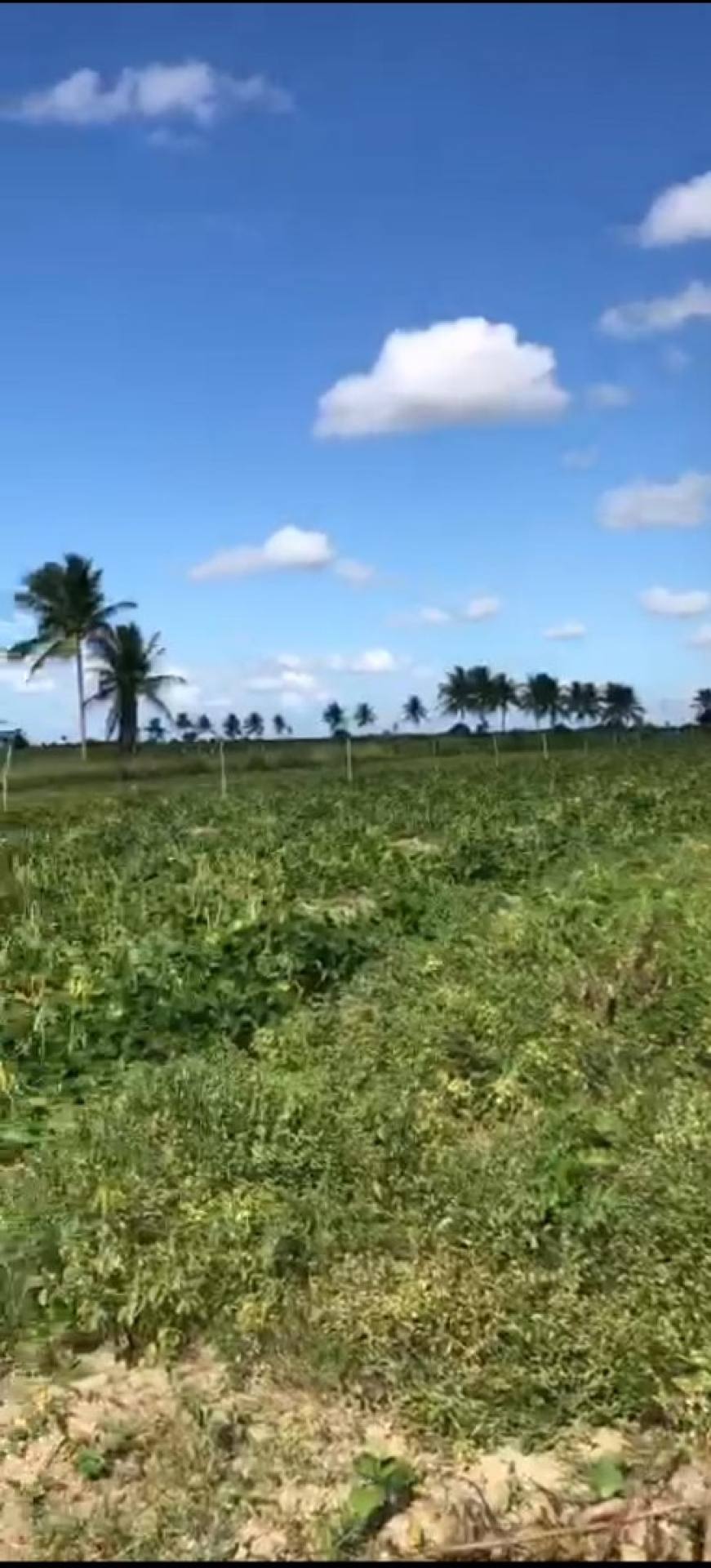 Terreno á venda Povoado Colonia Treze/Salgado SE