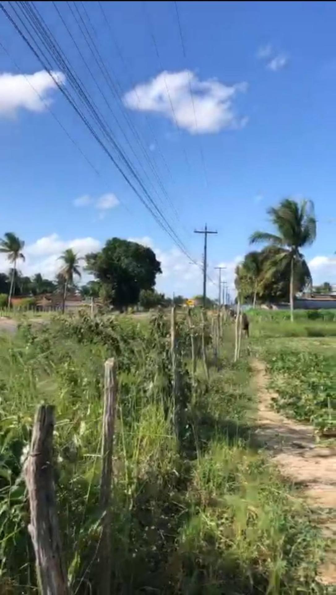 Terreno á venda Povoado Colonia Treze/Salgado SE