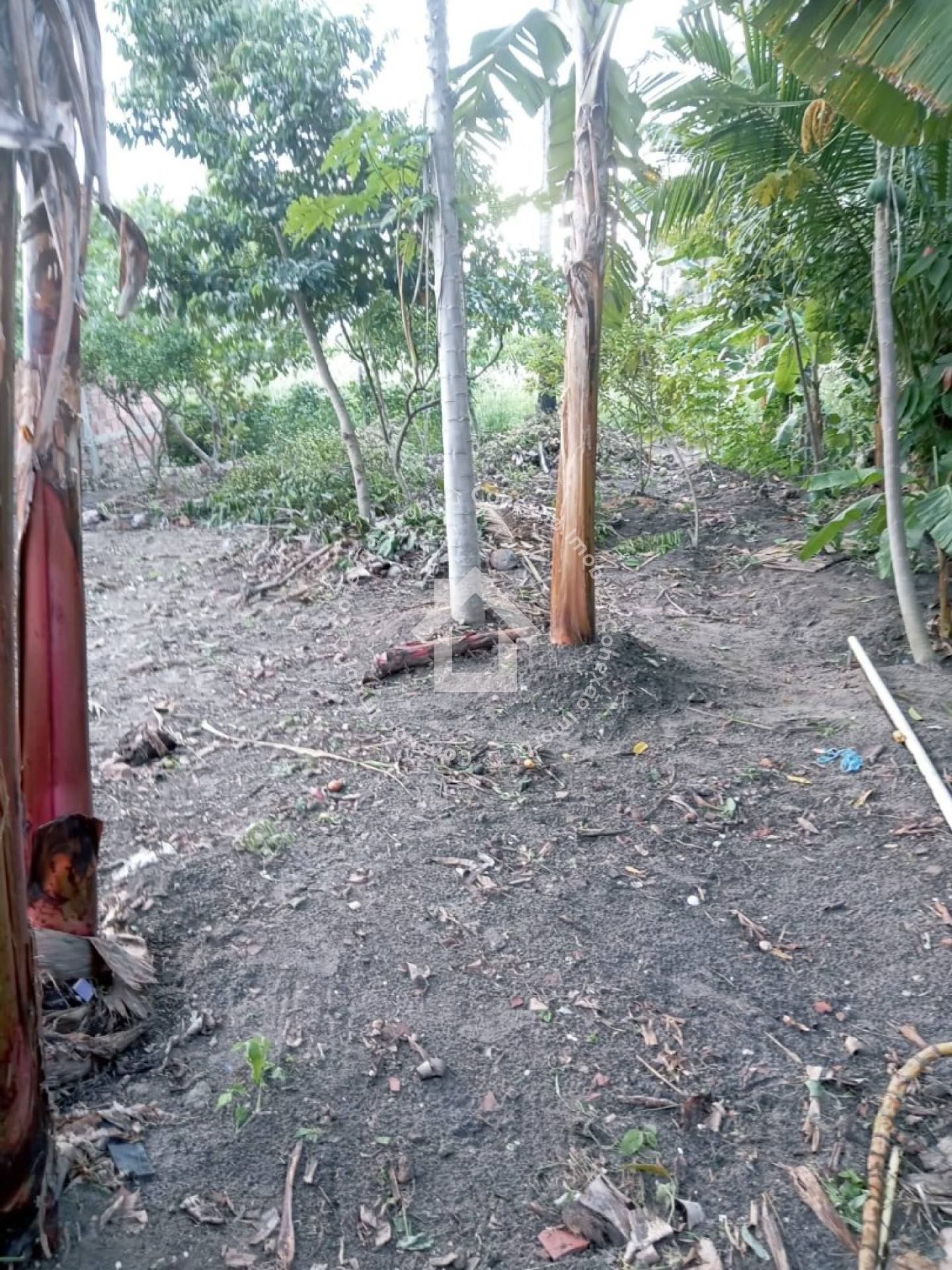 Terreno com casa no Povoado Colonia Treze / Lagarto | Pagamento à vista