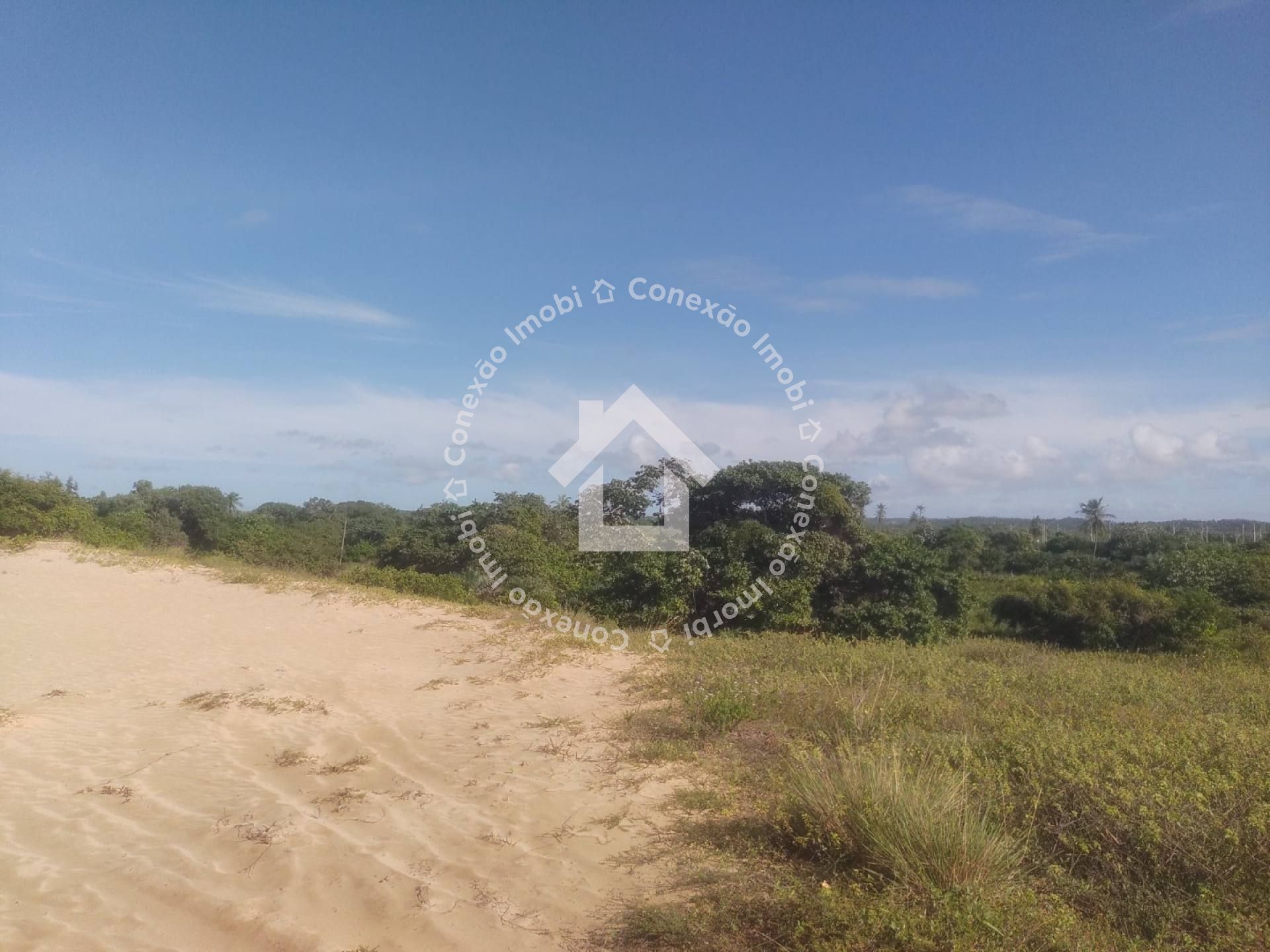 Sítio com Grande Área à Venda na Zona de Expansão| Ótimo para investimento!