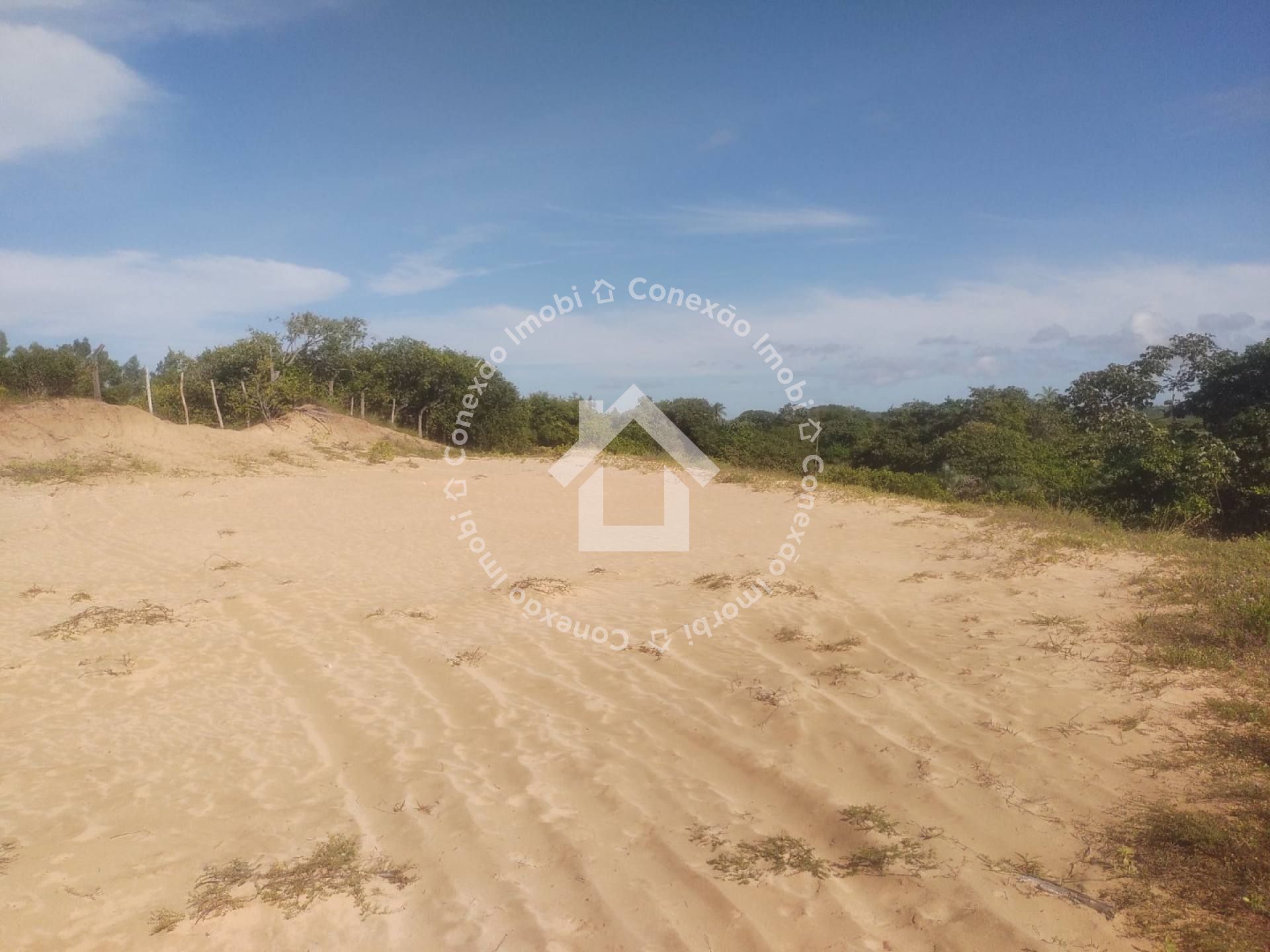 Sítio com Grande Área à Venda na Zona de Expansão| Ótimo para investimento!