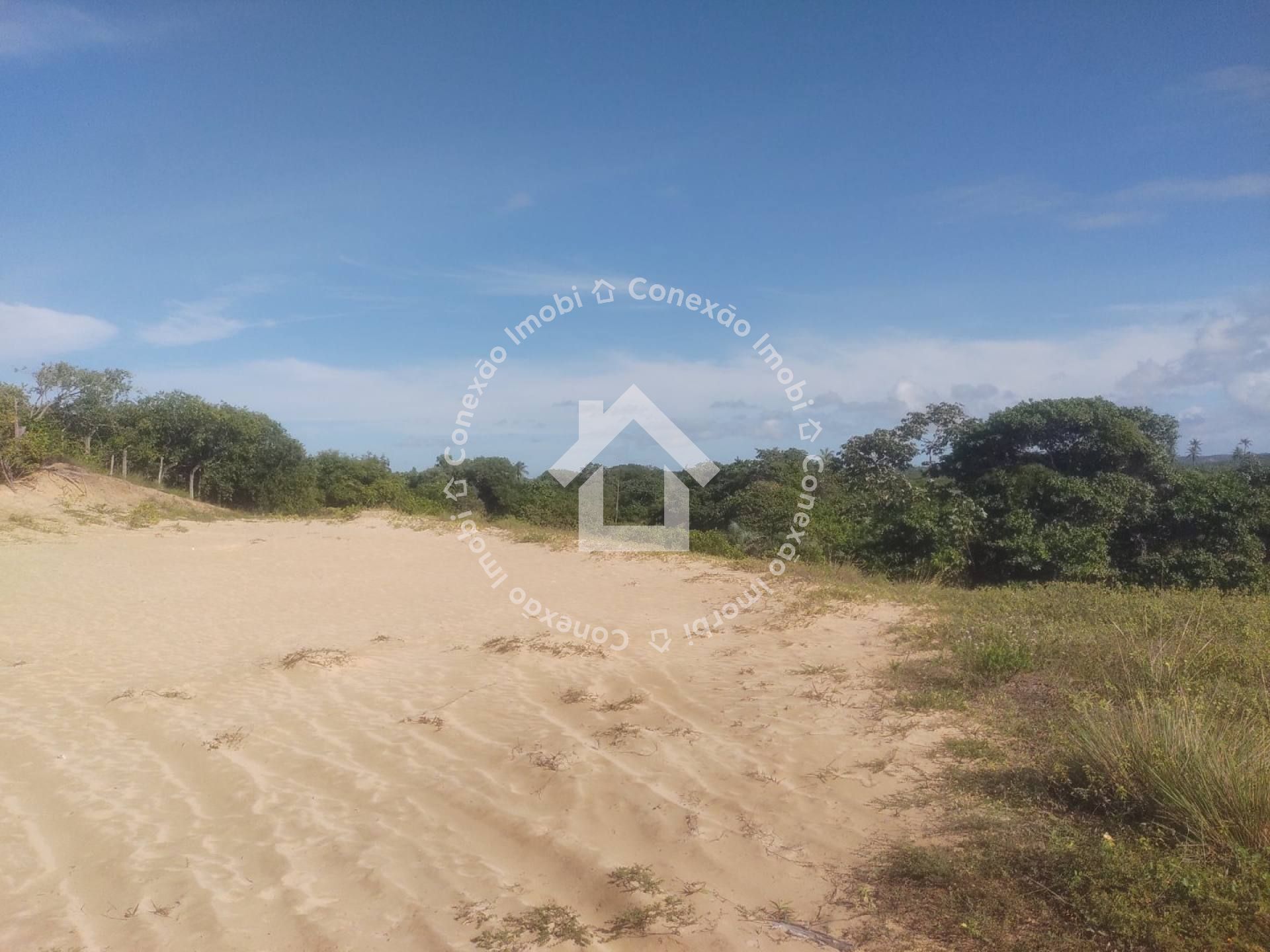 Sítio com Grande Área à Venda na Zona de Expansão| Ótimo para investimento!
