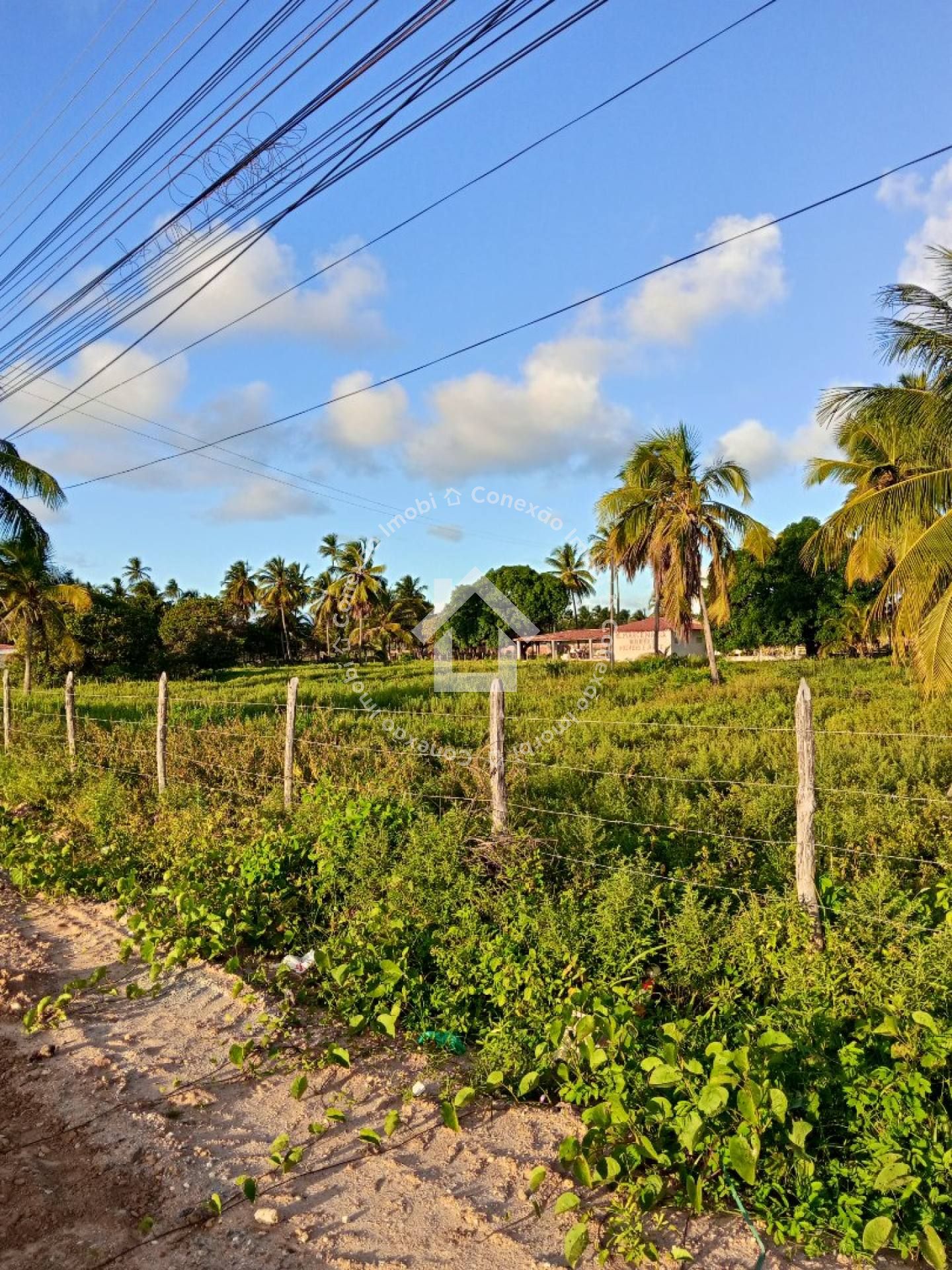 Terreno à Venda na Praia da Caueira com 200 m² | Ideal para construir ou investir