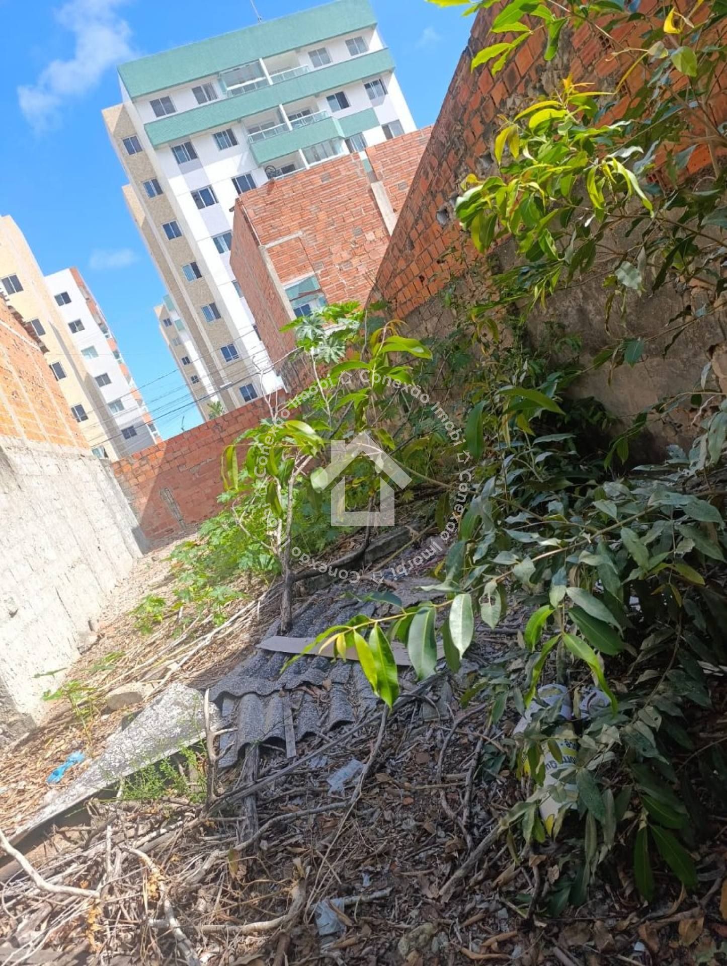 Terreno à Venda no Bairro Coroa do Meio | 5,50m x 20m