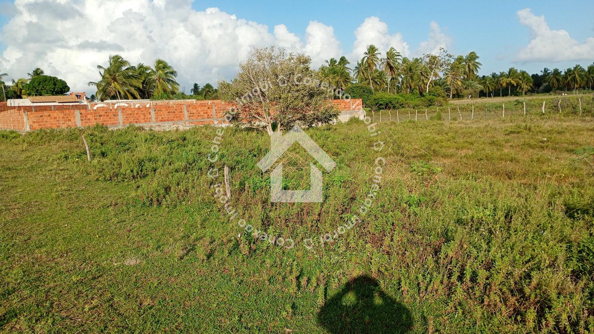 Terreno à Venda no Mosqueiro Próximo à Avenida da Areia Branca