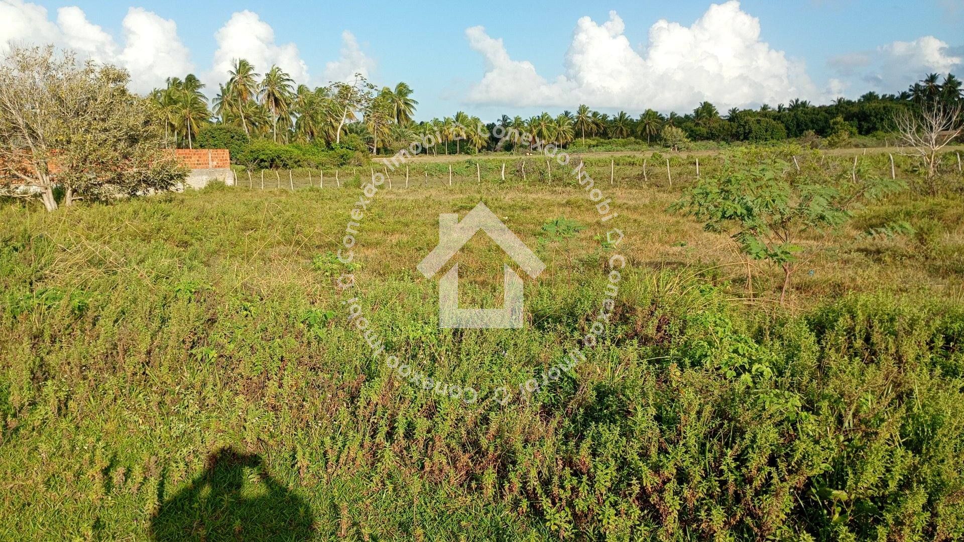 Terreno à Venda no Mosqueiro Próximo à Avenida da Areia Branca