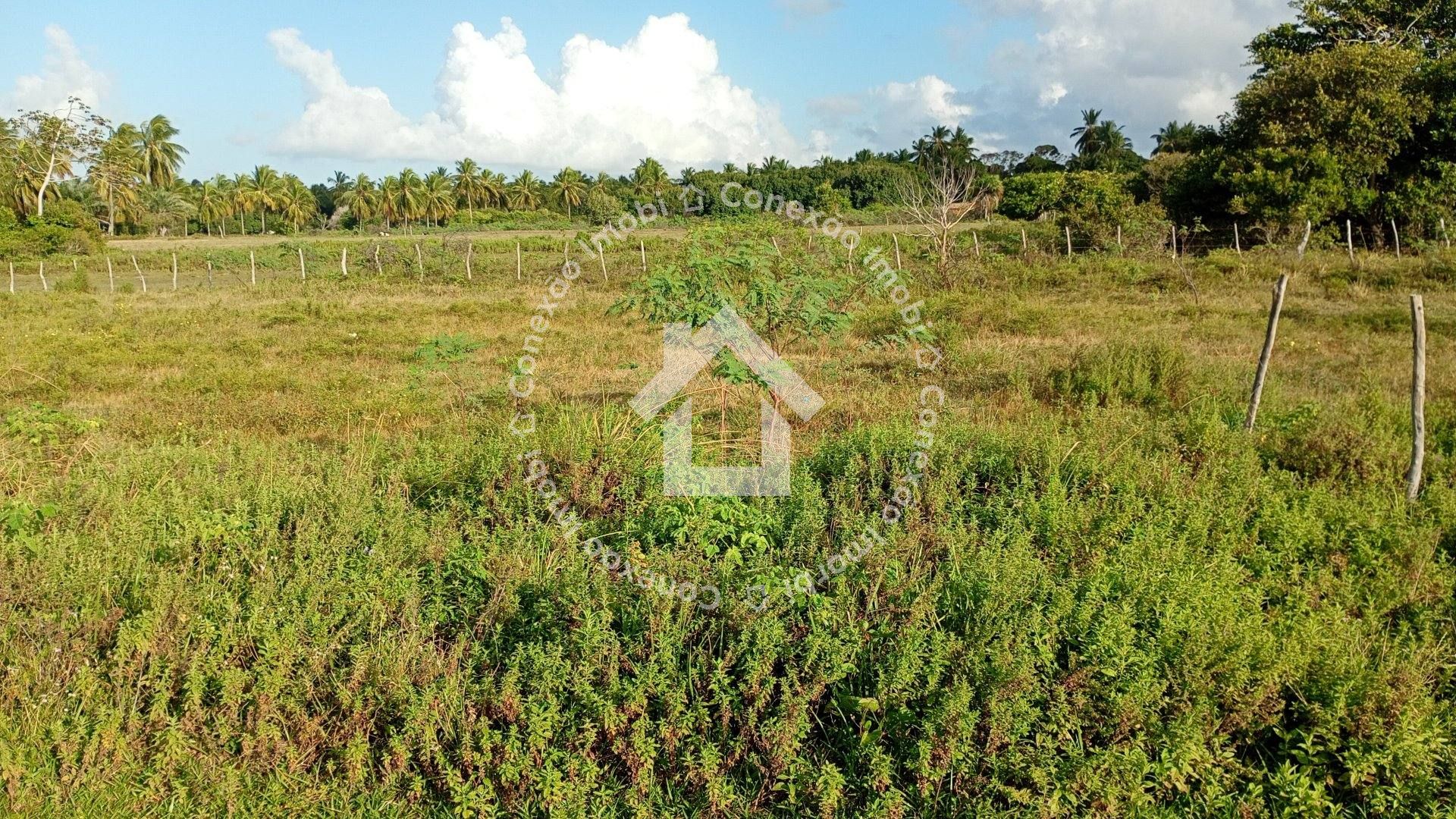 Terreno à Venda no Mosqueiro Próximo à Avenida da Areia Branca