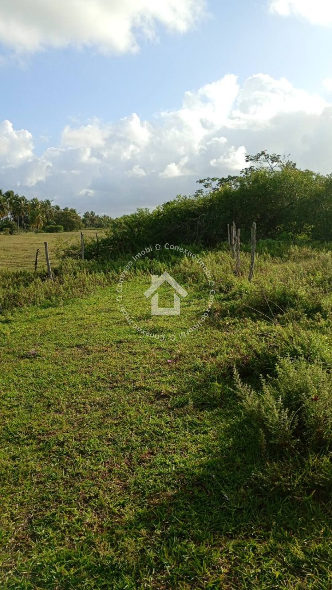 Terreno à Venda no Mosqueiro Próximo à Avenida da Areia Branca