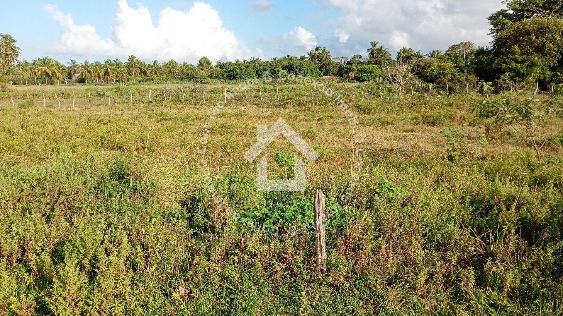 Terreno à Venda no Mosqueiro Próximo à Avenida da Areia Branca