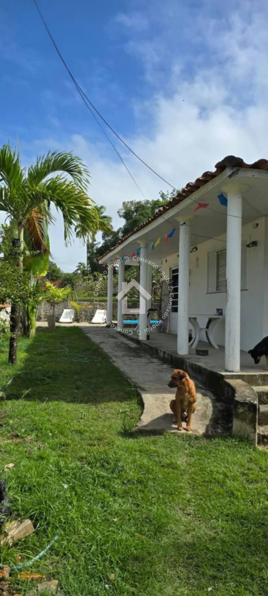 Chácara com 800 m² à venda em São Cristóvão