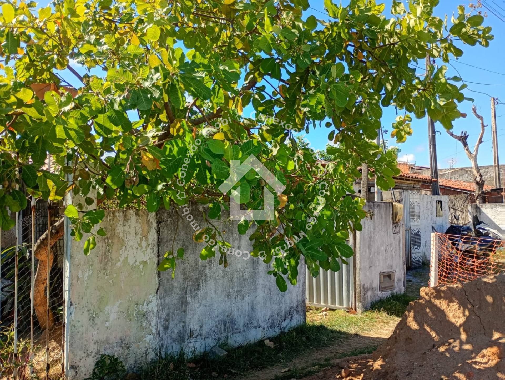 Casa à venda com 2 quartos na Rodovia dos Náufragos