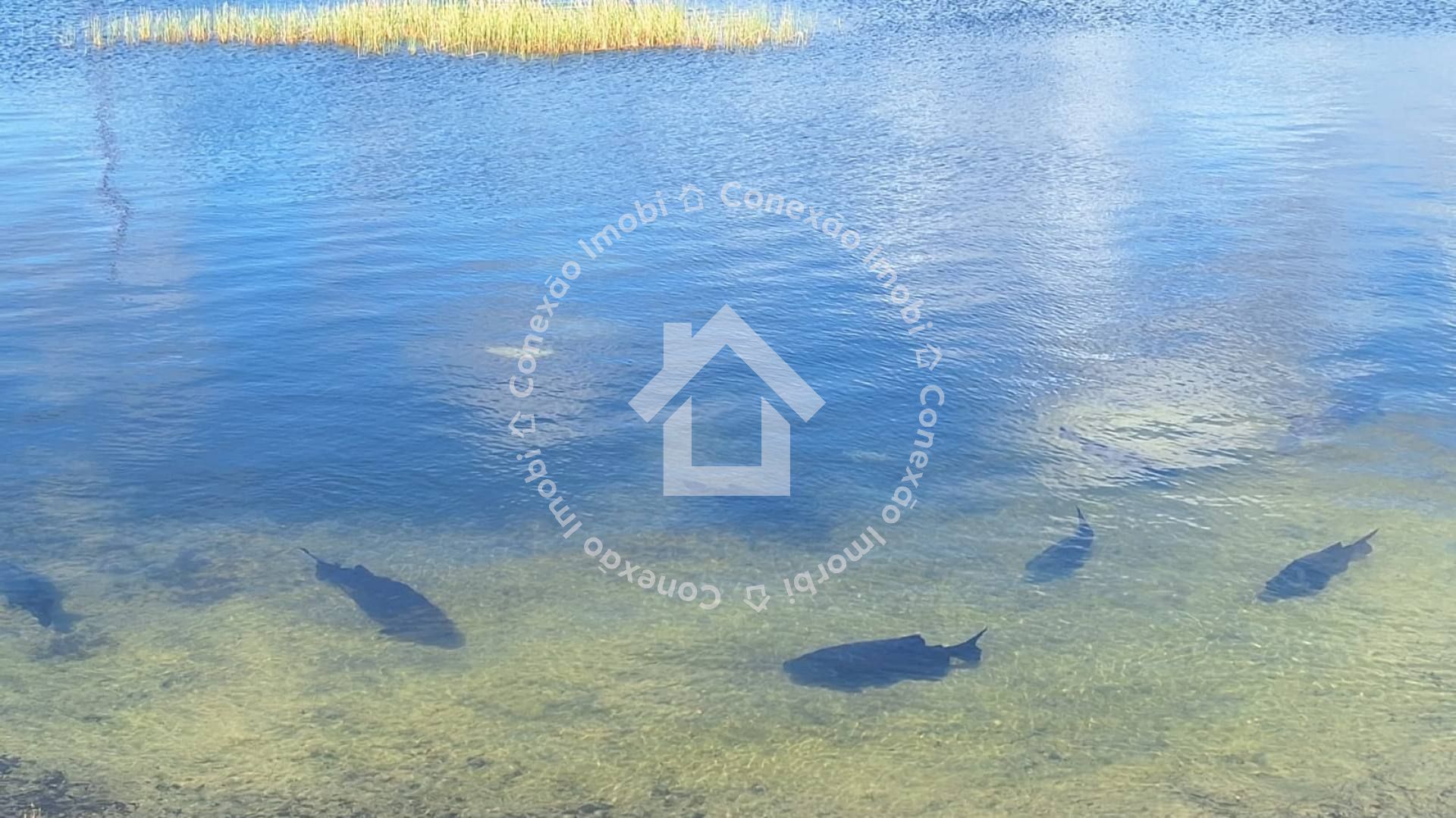 Chácara à Venda no Abaís – Estância | Exclusivo Acesso Privativo à LAGOA DOS TAMBAQUIS