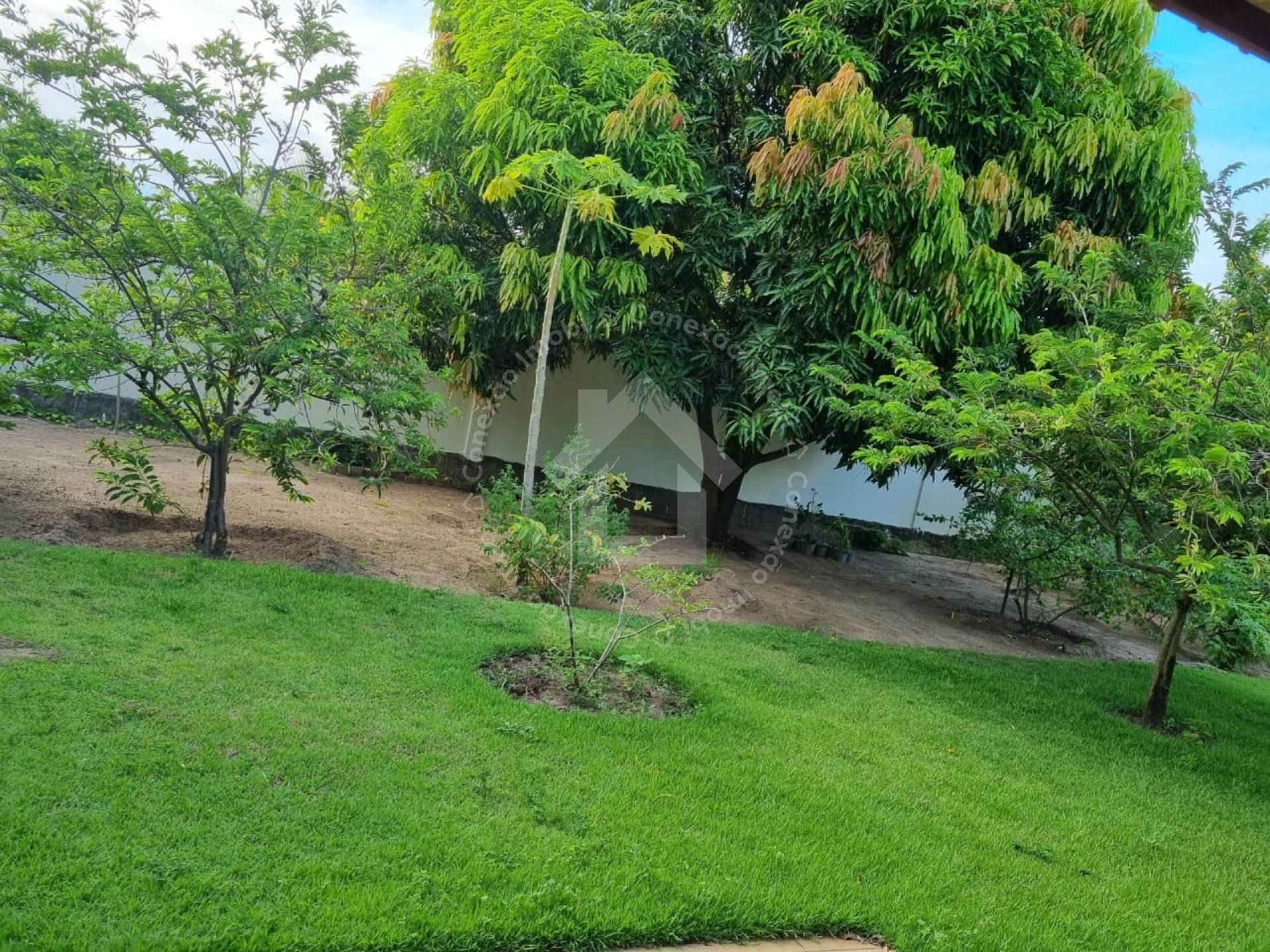 Chácara à venda no povoado Areia branca