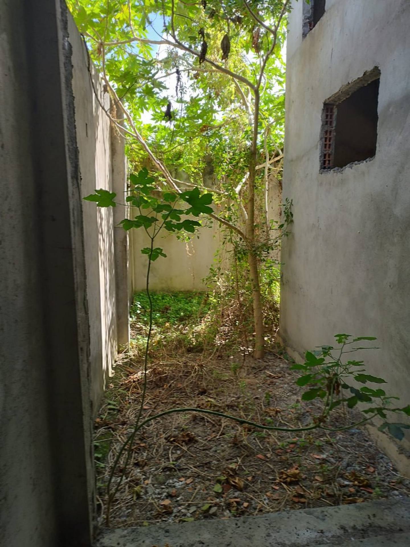 Casa na Barra dos coqueiro