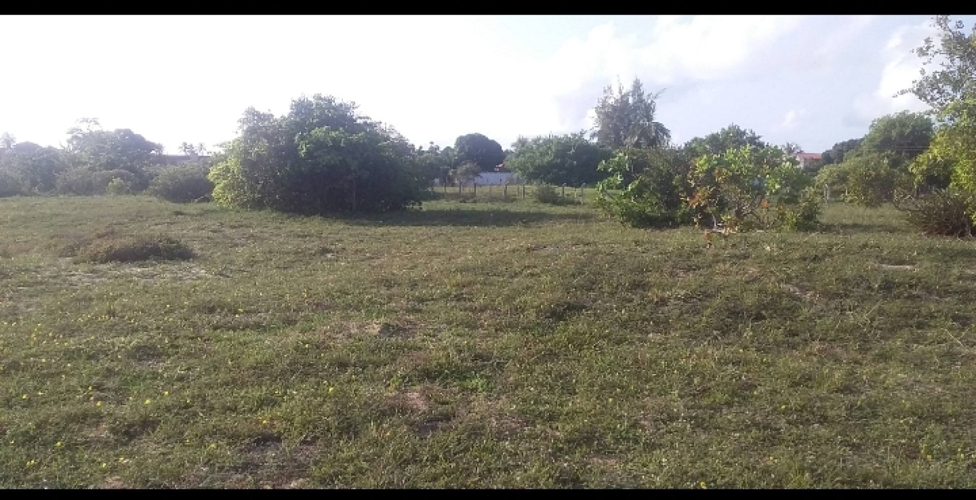 Terreno  no mosqueiro escriturado