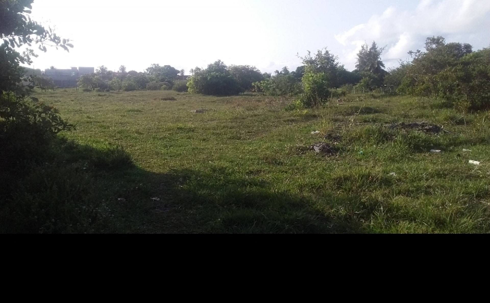 Terreno  no mosqueiro escriturado