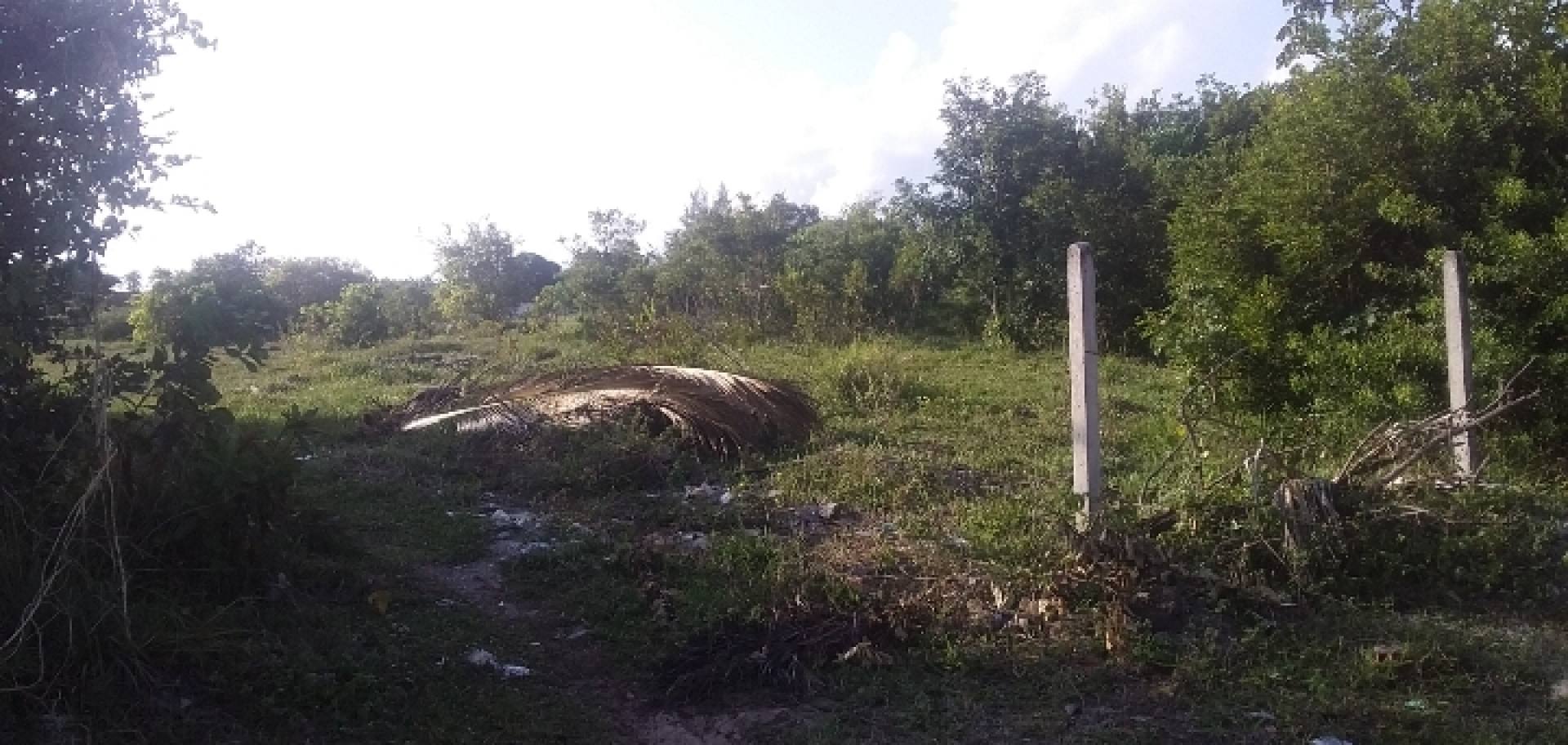 Terreno  no mosqueiro escriturado