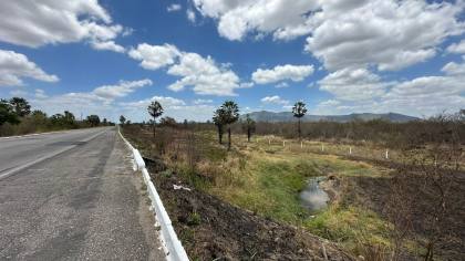 TERRENO NA BR 020 - CAUCAIA 308 HECTARES