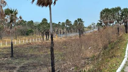 TERRENO NA BR 020 - CAUCAIA 35 HECTARES