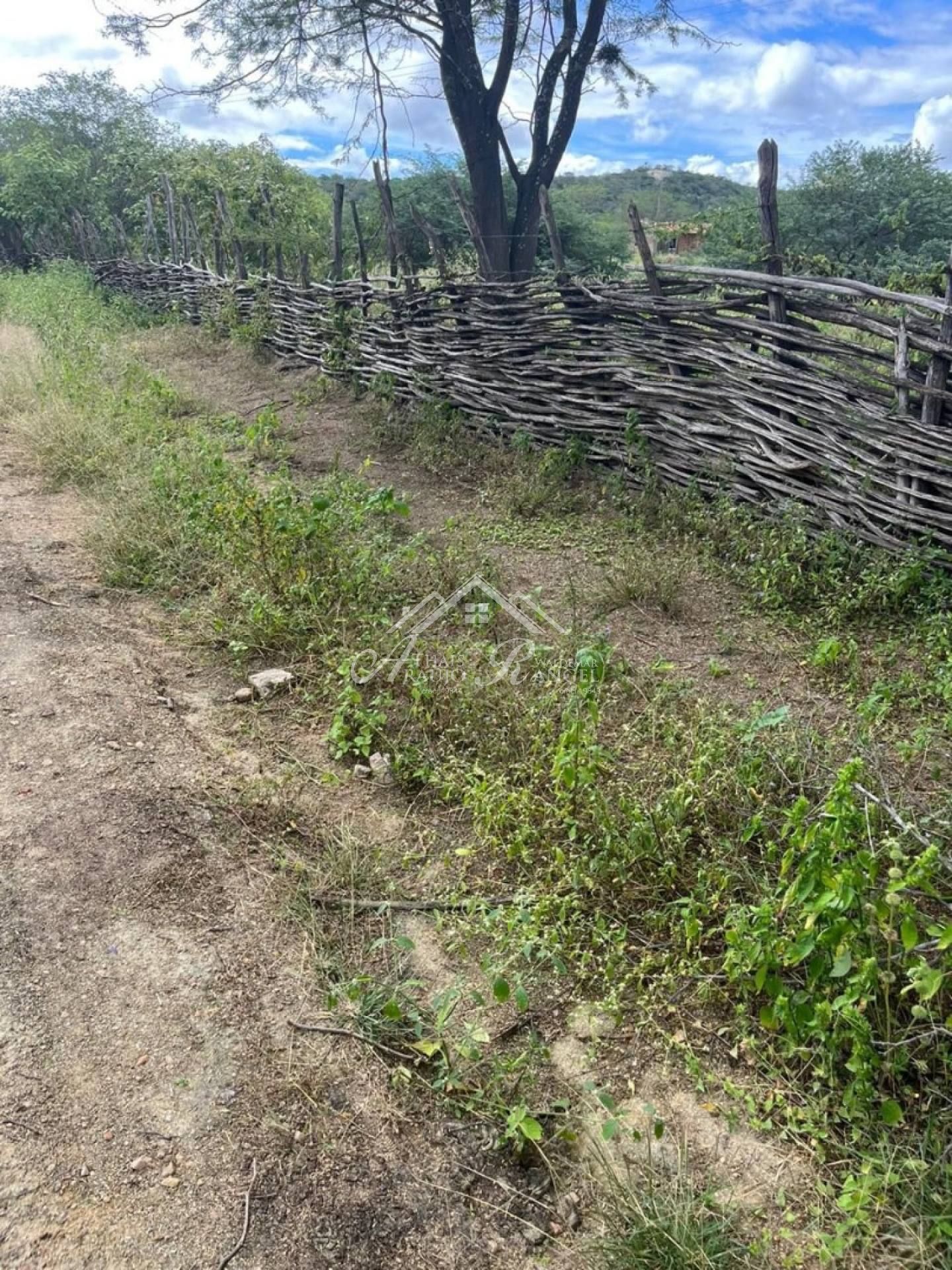 VENDO FAZENDA EM SERTANIA /PE