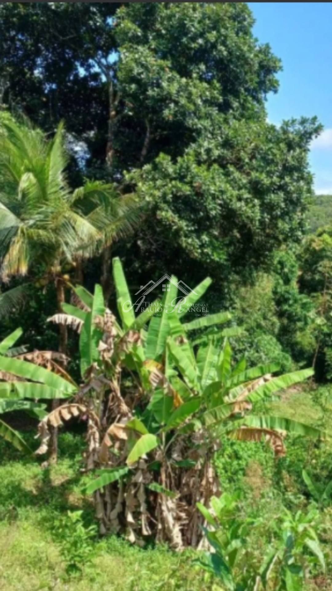 LOTE 15X30 EM GOIANA-PE