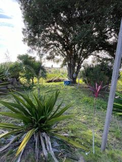 VENDO GRANJA EM GRAVATÁ/PE