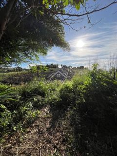 VENDO GRANJA EM GRAVATÁ/PE