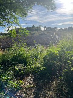 VENDO GRANJA EM GRAVATÁ/PE