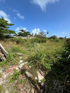 VENDO LOTE COMERCIAL EM