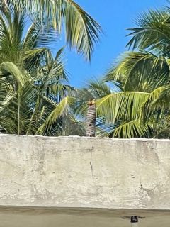 Casa Para Vender com 2 quartos no bairro Olhos d`Água em Barra Dos Coqueiros