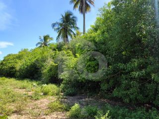 Lote / Terreno de Bairro Para Vender no bairro Mosqueiro em Aracaju