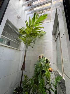 Casa Para Vender com 4 quartos 1 suíte no bairro Novo Paraíso em Aracaju