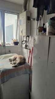 Apartamento Para Vender com 4 quartos 2 suítes no bairro Farolândia em Aracaju