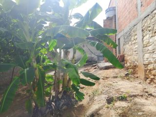 Casa Para Vender com 2 quartos no bairro Centro Histórico em Nossa Senhora Do Socorro