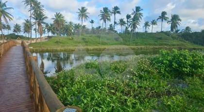Lote / Terreno de Condomínio Para Vender no bairro Zona de Expansão (Olhos D`Agua) em Barra Dos Coqueiros