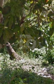 Lote / Terreno de Bairro Para Vender no bairro Mosqueiro em Aracaju