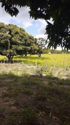 Lote / Terreno de Bairro Para Vender no bairro Mosqueiro em Aracaju