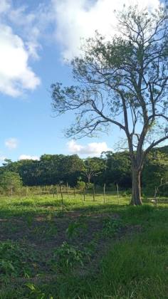 Lote / Terreno de Bairro Para Vender no bairro Mosqueiro em Aracaju